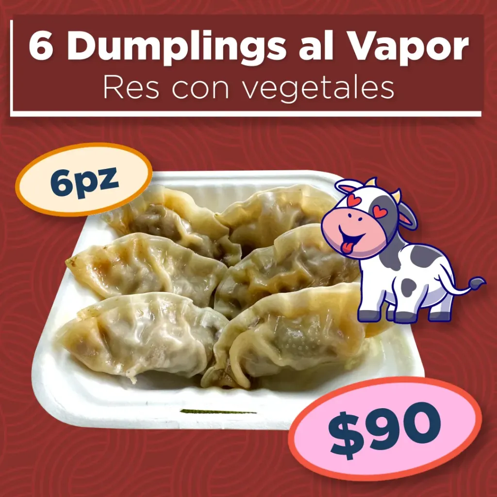 6 Dumplings de Res